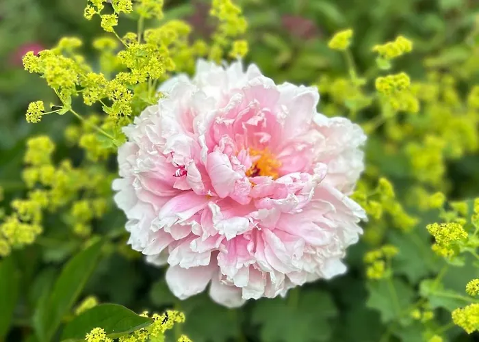 Heldendomizil Casa de Férias Hattstedt